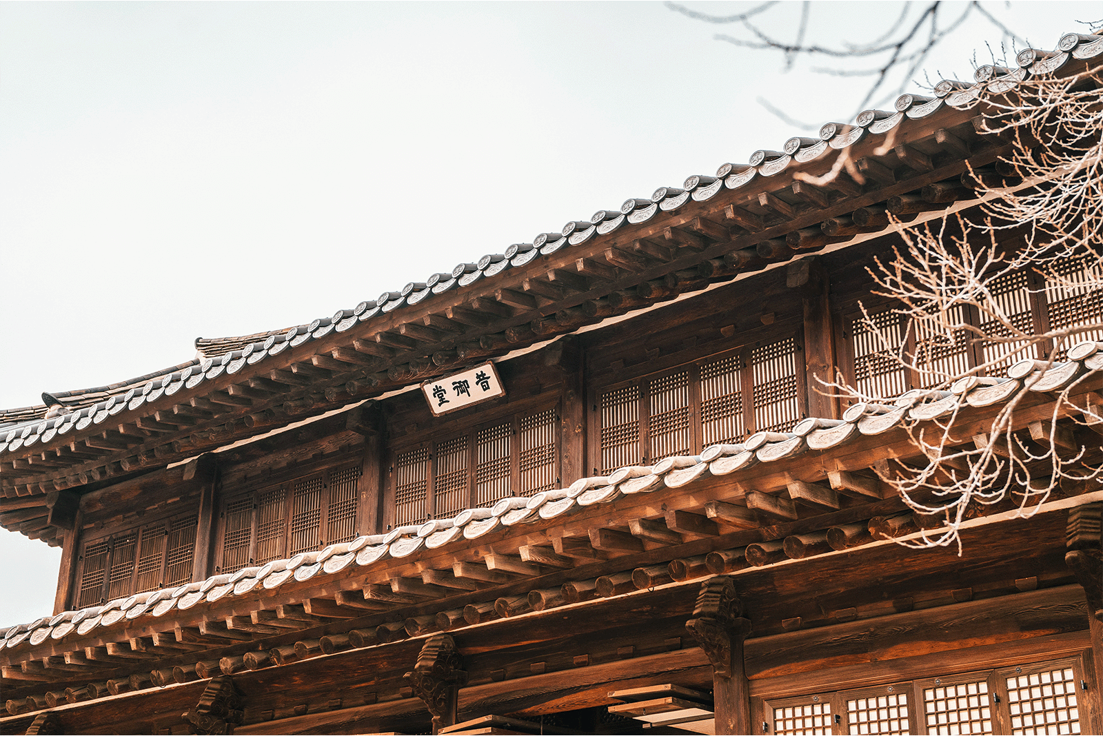 Korean Hangover Cure Traditions: A Journey into Natural Oriental Remedy