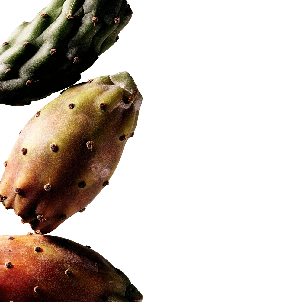 three prickly pears hangover cure ingredient